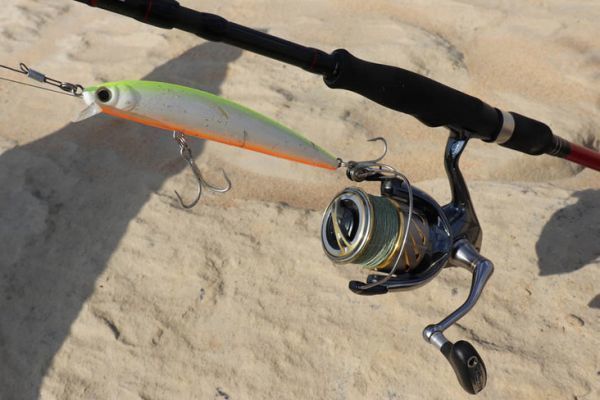 Fishing for payara, what equipment?