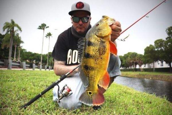 Street fishing in Miami is off the beaten track!