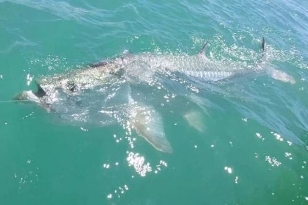 Fishing in French Guiana