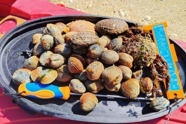 Return of high tides