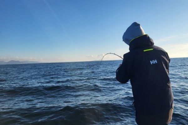 Pike-perch fishing tackle