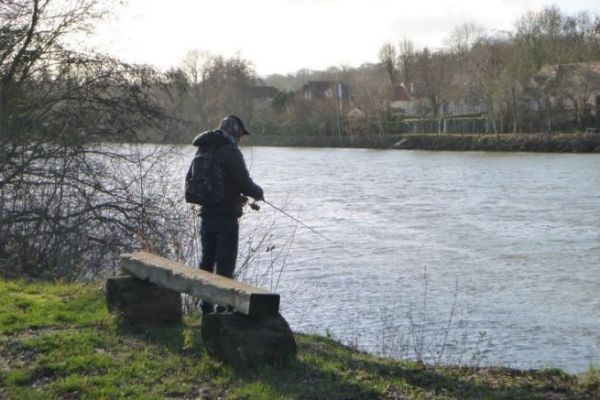 50% discount fishing card