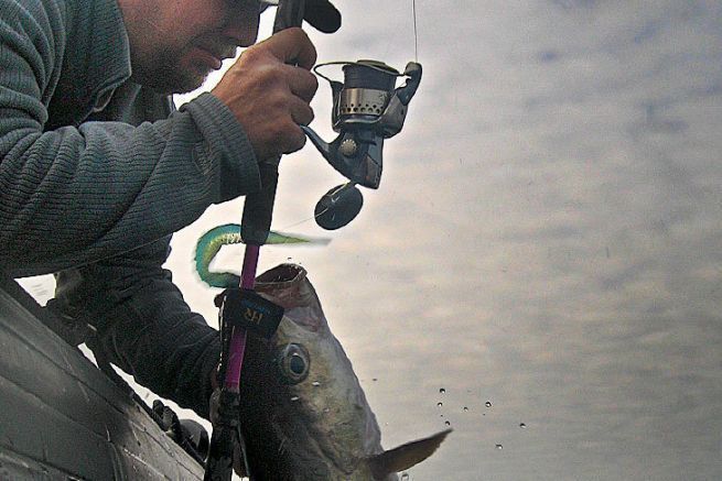 Is this Stella the best reel for the sea?