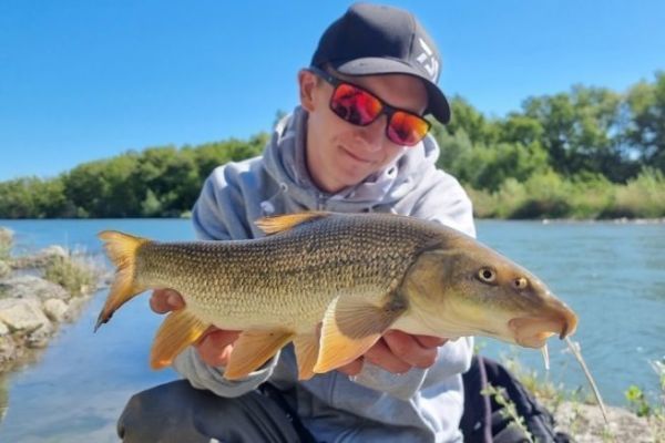 Barb fishing with feeder