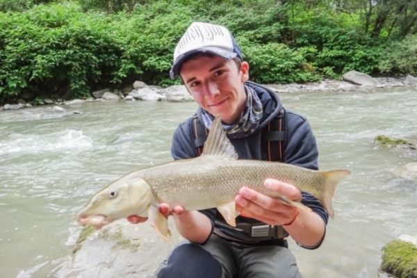 Barbel cheese fishing