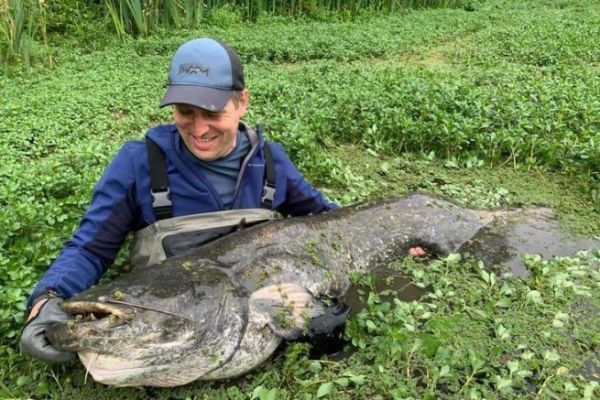 Catfish fishing with a breaker