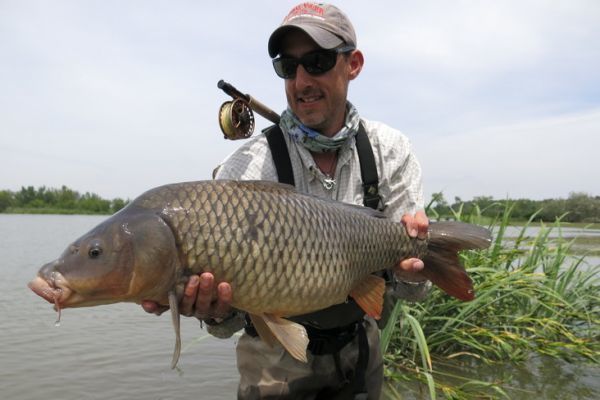 It's possible to catch beautiful carp on the fly!