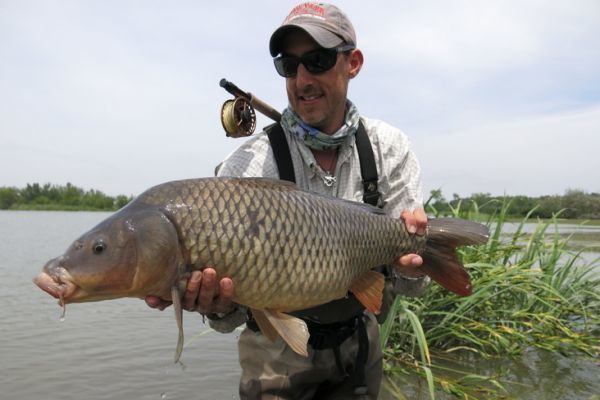 Carp sight-fishing can be just as exciting as 