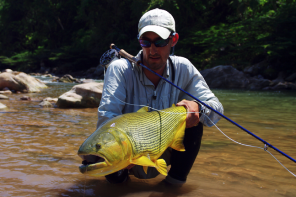 The dorado is a magnificent, combative and acrobatic predator to be sought out on the fly