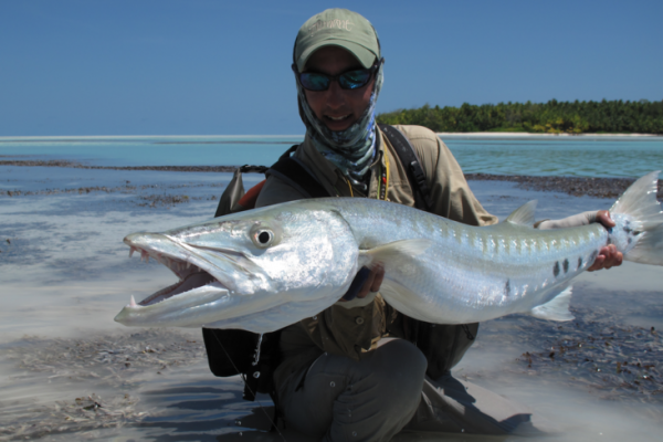The barracuda is a formidable adversary for warm-water fly fishers