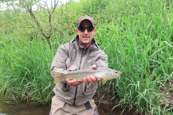 May flies often bring out the beautiful trout