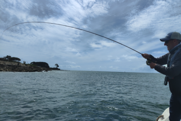 Sea bass fly fishing in Southern Brittany is often interesting and exciting