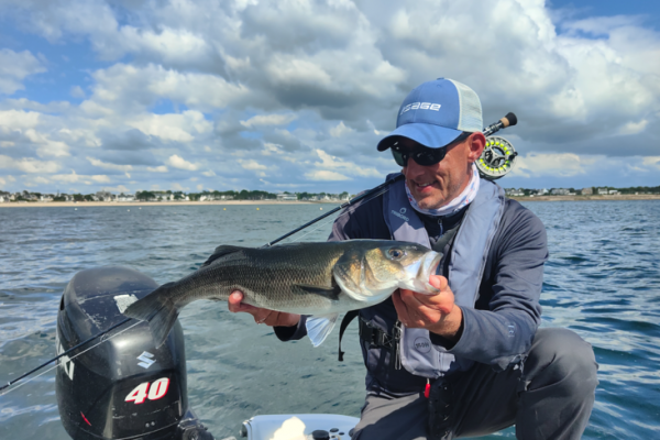 Fly-fishing for sea bass always provides a thrill that's hard to get enough of