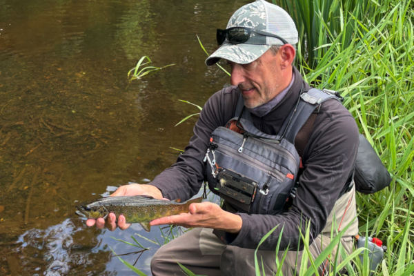 Imitation caterpillars, then butterflies, catch beautiful trout
