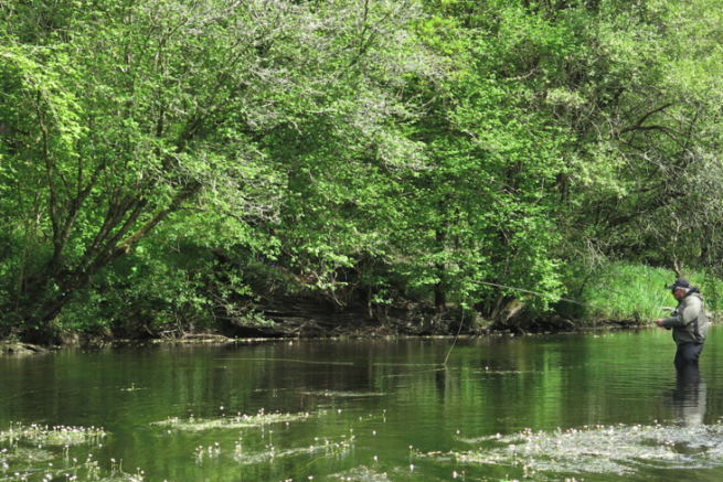 Fly fishing for trout in Brittany