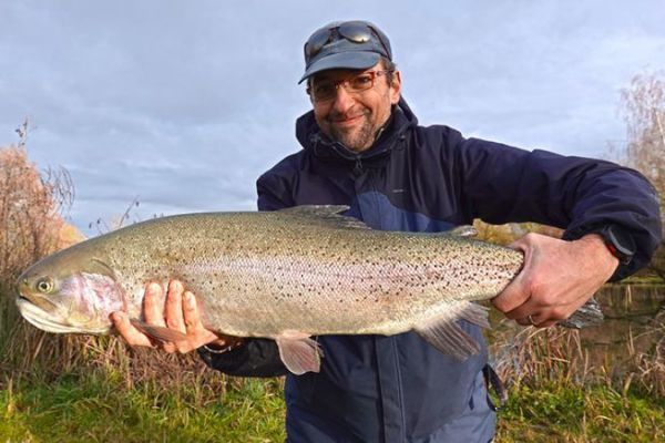 Magnificent 83 cm rainbow trout
