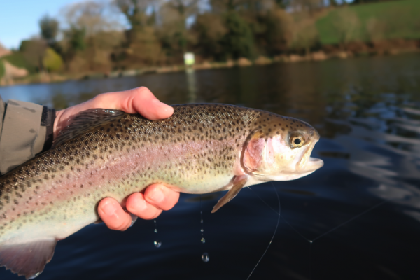 Chiro fishing is always a thrill!