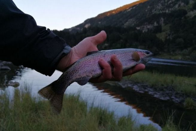 A beautiful rainbow caught in the whip of the evening