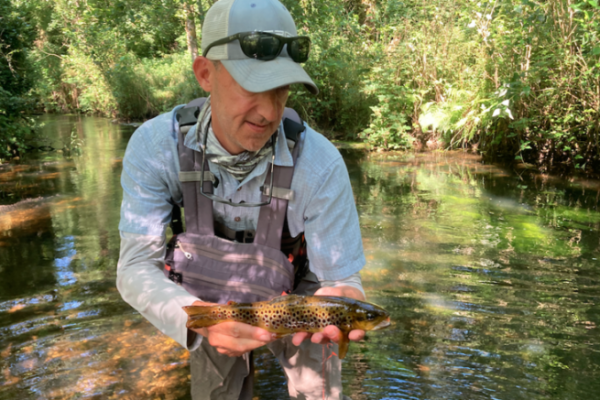 Lowering the size of your flies can sometimes make all the difference!