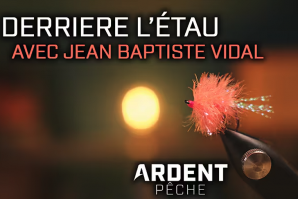 The blob has quickly become a must-have for reservoir fishing