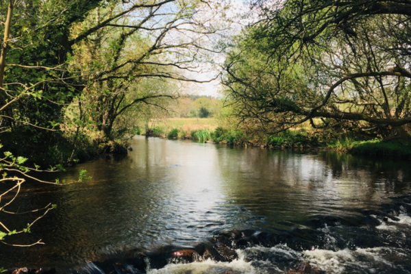 L'Aven is a magnificent little river in southern Brittany to discover between late April and closing time