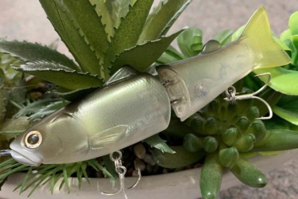 The New Slide Swimmer 115 is gorgeous!