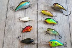 Choose the right color of swimming fish