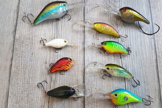How to determine the right lure color when fishing?