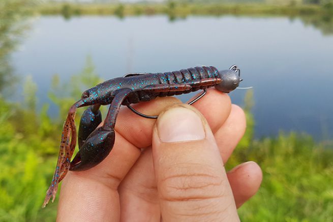 Soft lure, scrape the bottom with a crayfish imitation