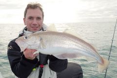 Large whiting are caught by boat between January and March.