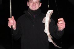Small dogfish caught surfcasting