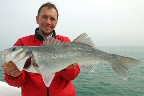 How to fish for predators on submerged rocky plateaus?
