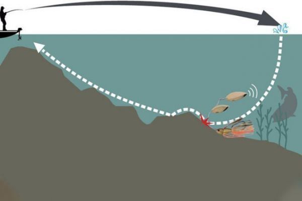 Slow-rolling spinnerbait animation for pike fishing Slow-rolling spinnerbait animation