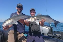 Sea bass traction fishing