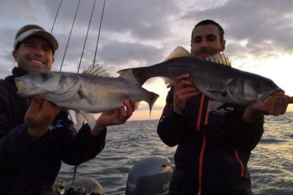 Sea bass fishing on the fly, the equipment needed for success