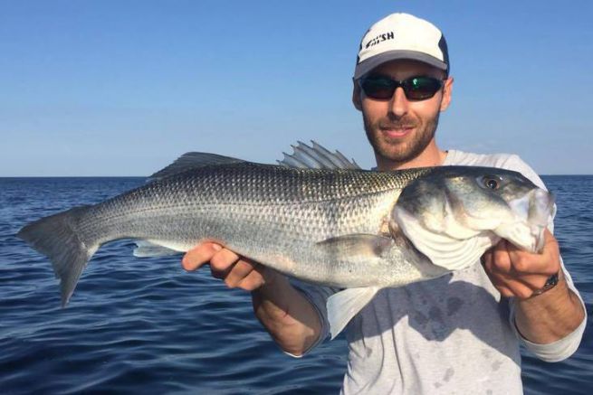 Learn or improve fly-fishing for sea bass on video