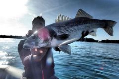 Fishing for big bass