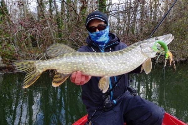 Pike fishing with Rubber Jig: when to use this technique?