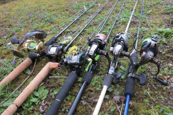Spinning or casting, make the right choice according to the fishing  conditions