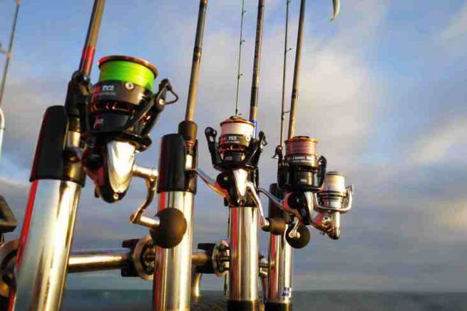 Start sea fishing: choosing the right reel for your first rod