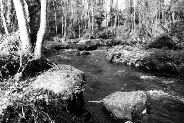 Progressing with fishing: Can the sense of water be developed?