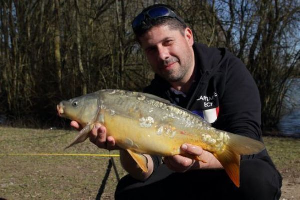 Make a special Pop-Up leader for carp, the Spinner Rig
