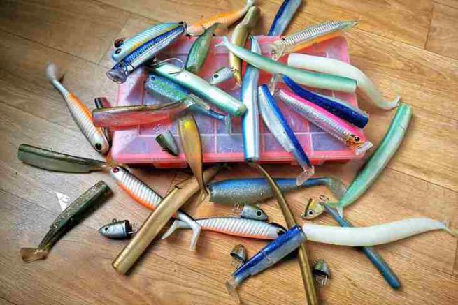 Start sea fishing: how to choose your first lures for sea casting?