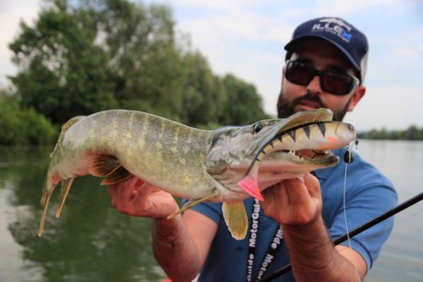Choosing the right lures for early season pike fishing