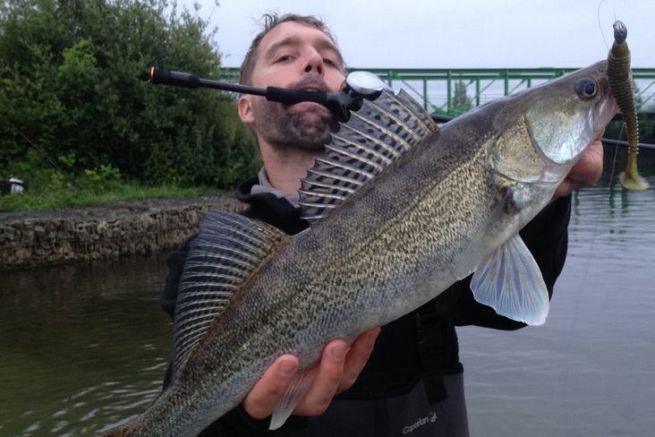 Soft lures for zander fishing and strategy