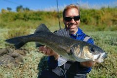Buzzing bass fishing