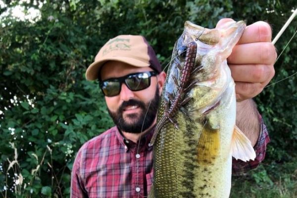 Black bass caught in Weightless Nose Rig