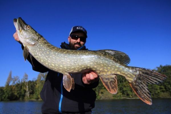 NEW RELEASE-Strike Pro TV:Northern Pike in Northern Sweden