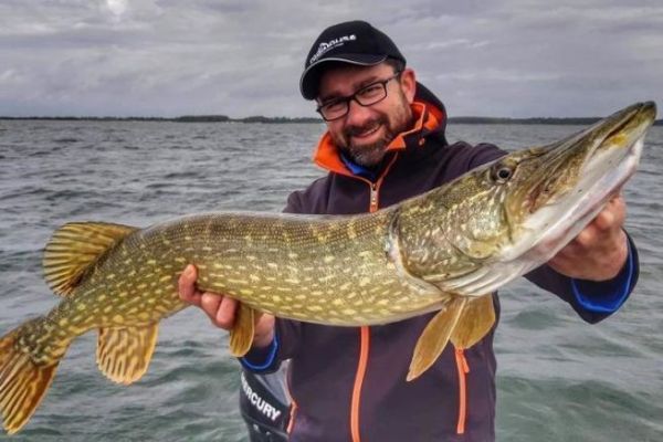When should bigbaits be used for pike fishing?