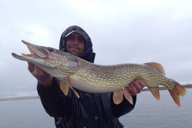 Autumn is the perfect time to start pike fishing!